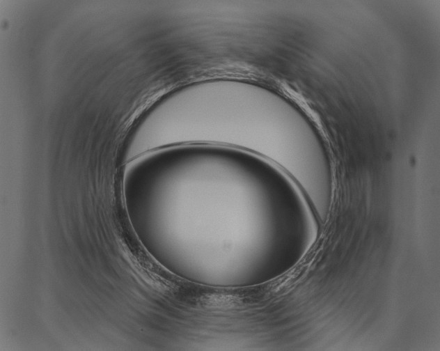 X0000087040154200704180946