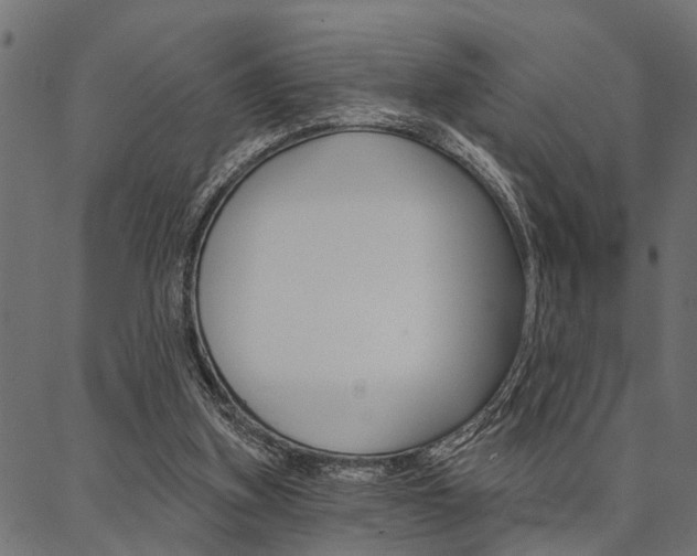 X0000087040155200704180946