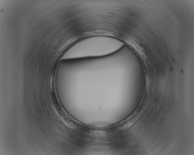 X0000087040157200704180946