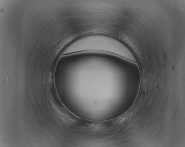 X0000087040164200704180946