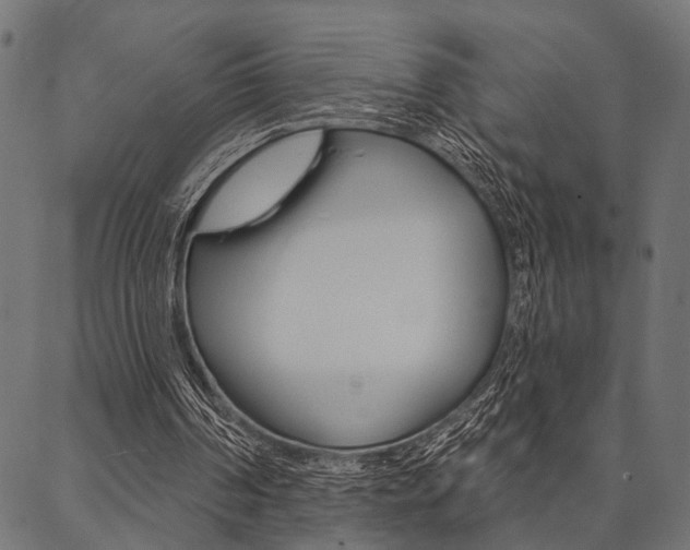 X0000087040194200704180946