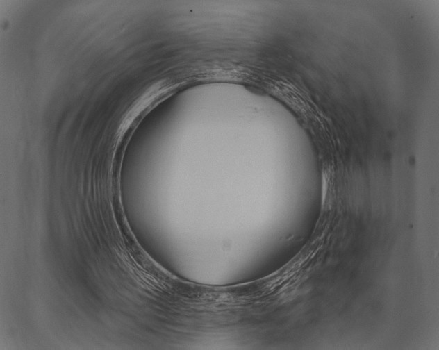 X0000087040195200704180946