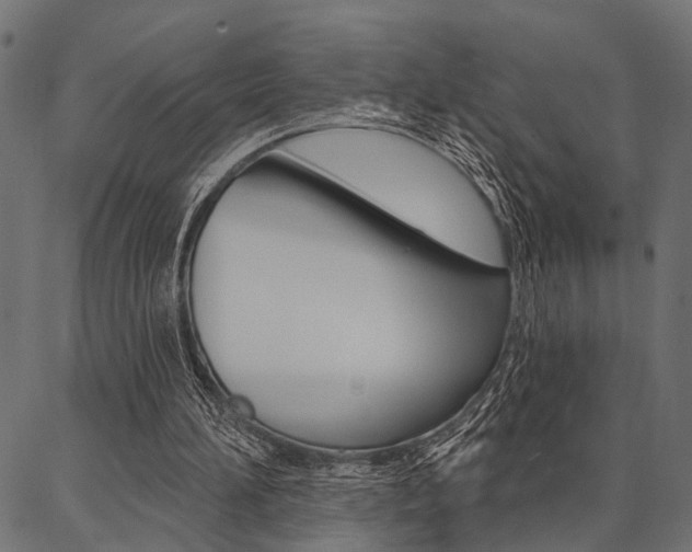 X0000087040196200704180945