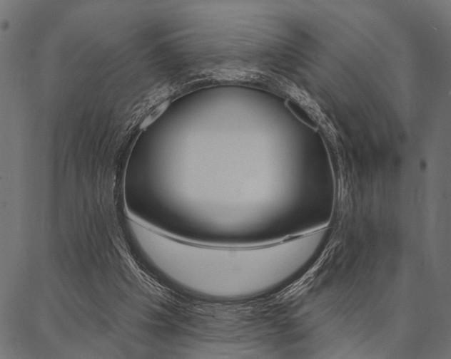 X0000087040201200704180945