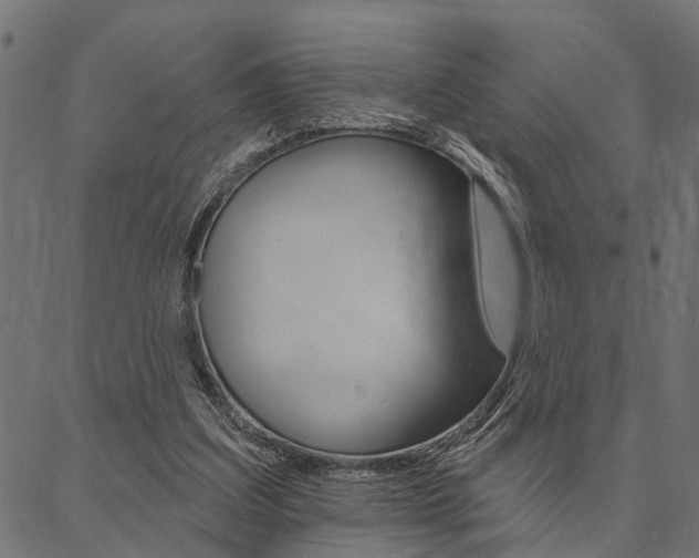 X0000087040203200704180945