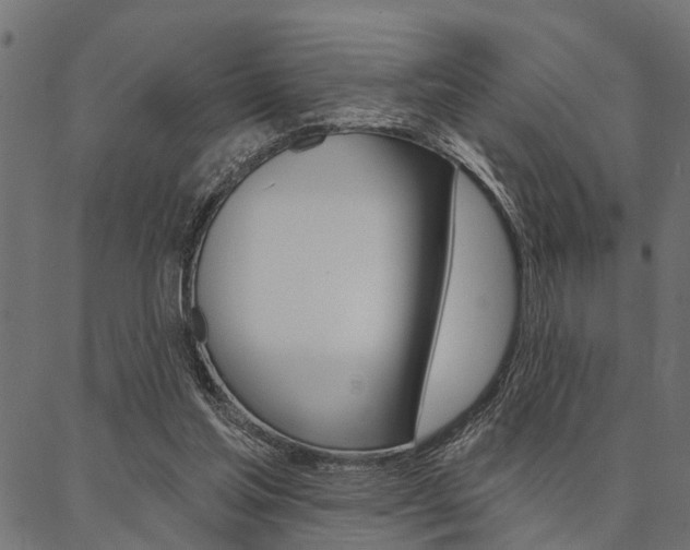 X0000087040205200704180945