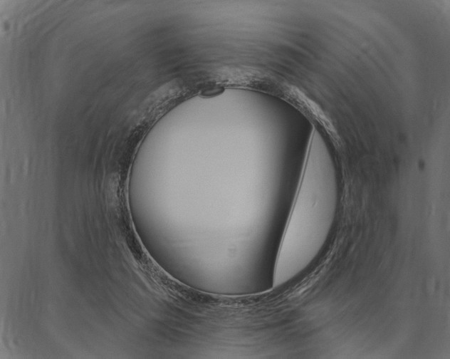 X0000087040209200704180945