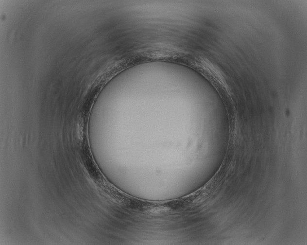X0000087040210200704180945