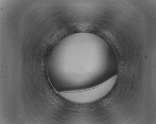 X0000087040221200704180945