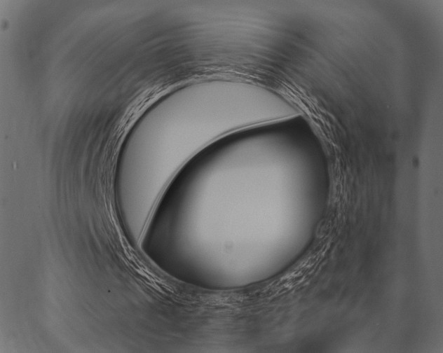 X0000087040241200704180944
