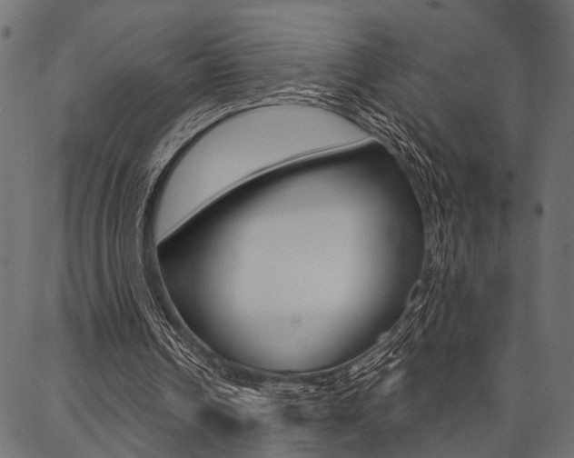 X0000087040242200704180944