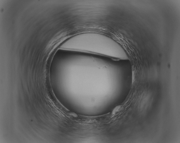 X0000087040243200704180944