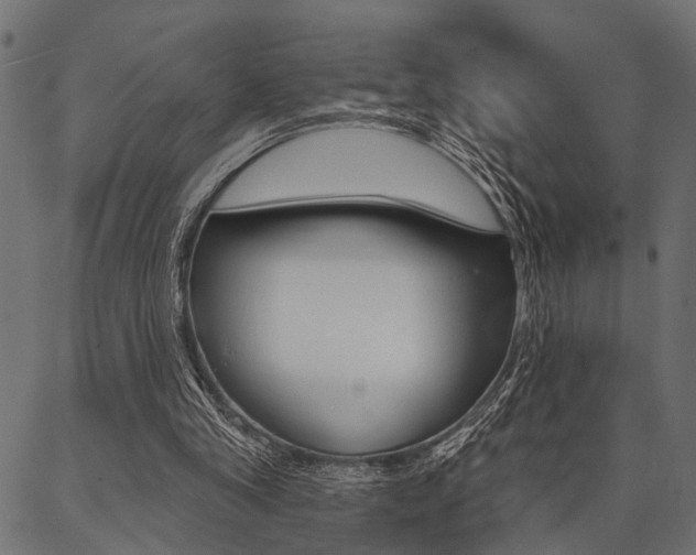 X0000087040245200704180944