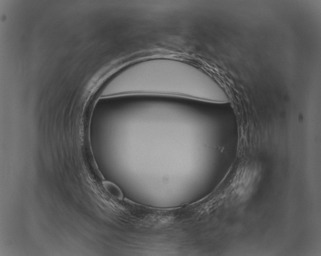 X0000087040247200704180944