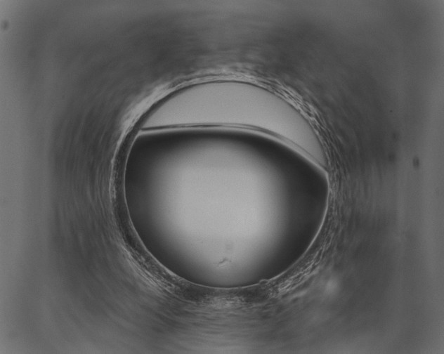 X0000087040248200704180944