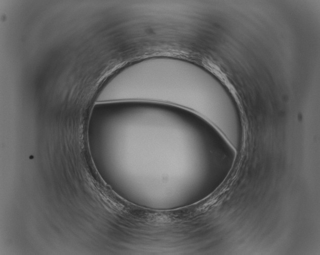 X0000087040249200704180944