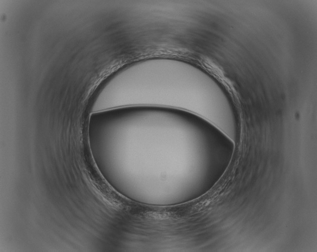 X0000087040250200704180944
