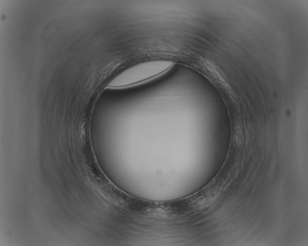 X0000087040259200704180944