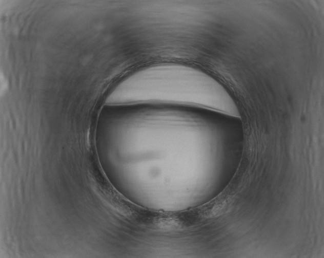X0000087040262200704180944
