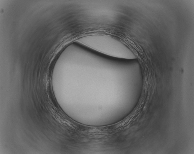 X0000087040290200704180944