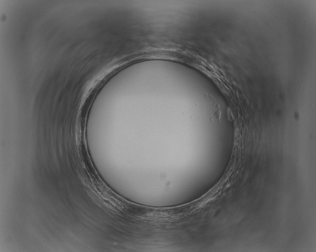 X0000087040294200704180944
