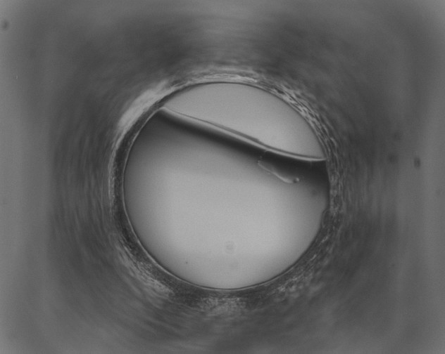 X0000087040296200704180944