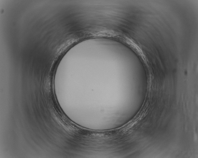 X0000087040298200704180944