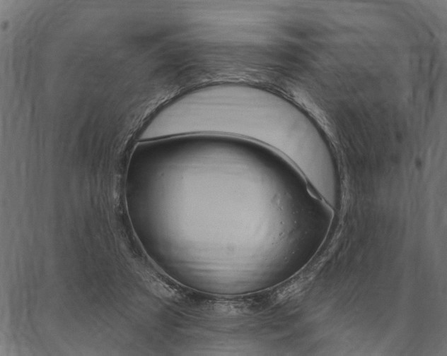 X0000087040305200704180944