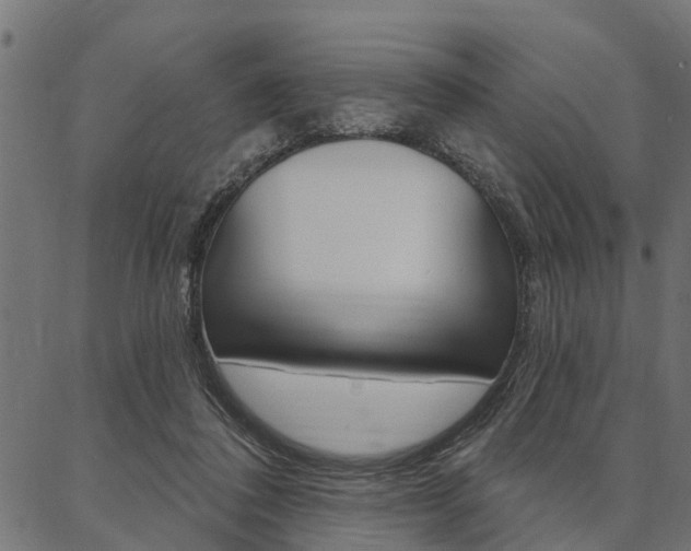X0000087040308200704180944