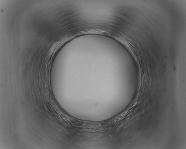 X0000087040337200704180942