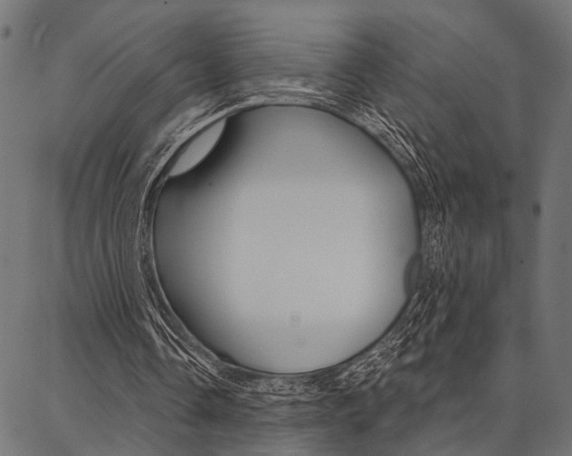 X0000087040338200704180942