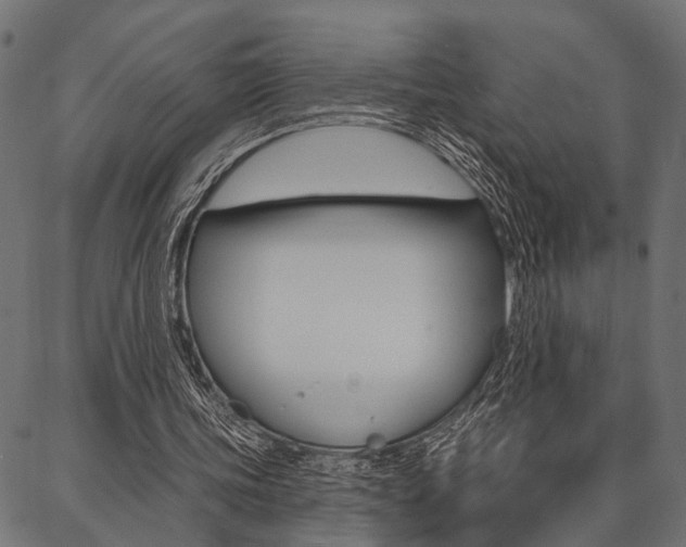 X0000087040339200704180942