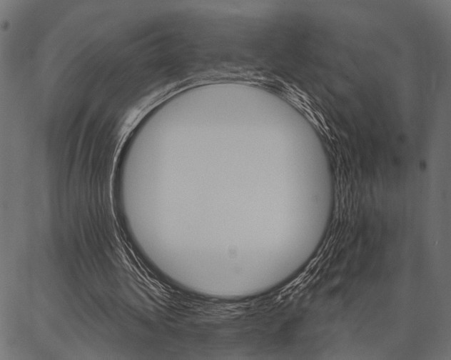 X0000087040340200704180942