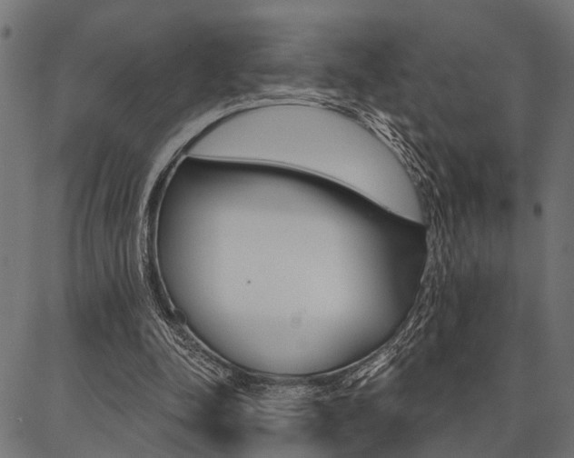 X0000087040342200704180943