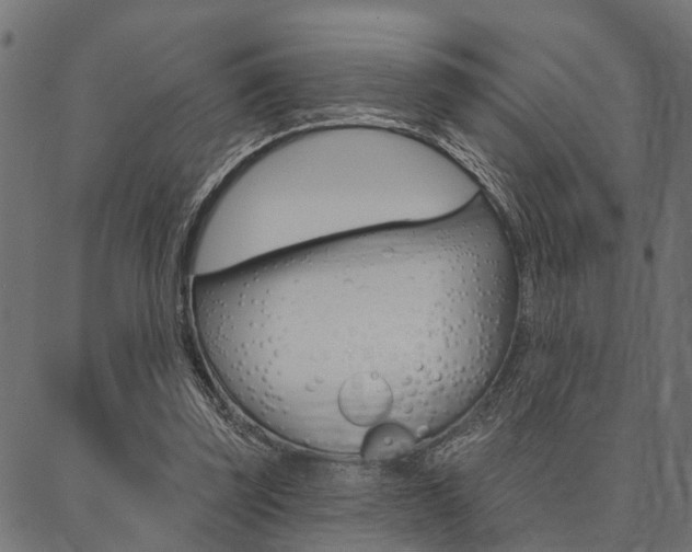 X0000087040347200704180943