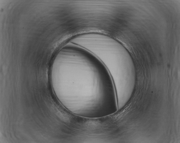 X0000087040350200704180943