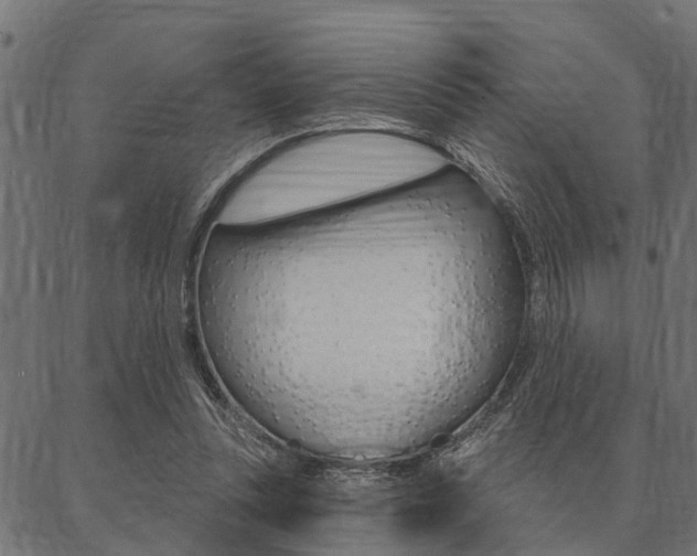 X0000087040351200704180943