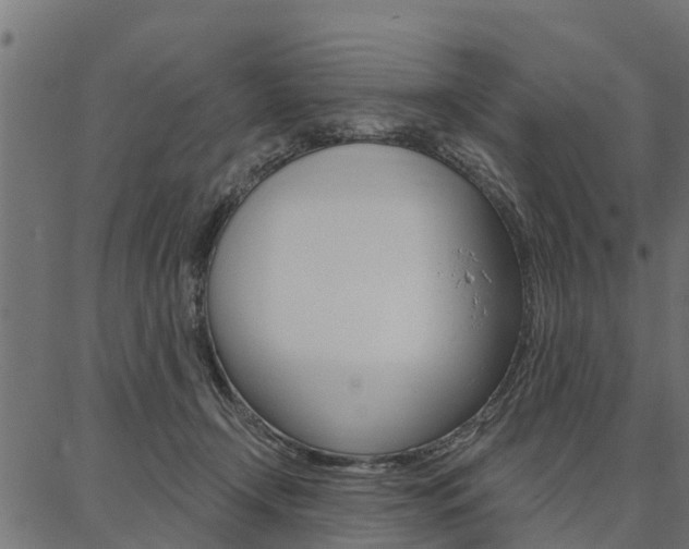 X0000087040366200704180943