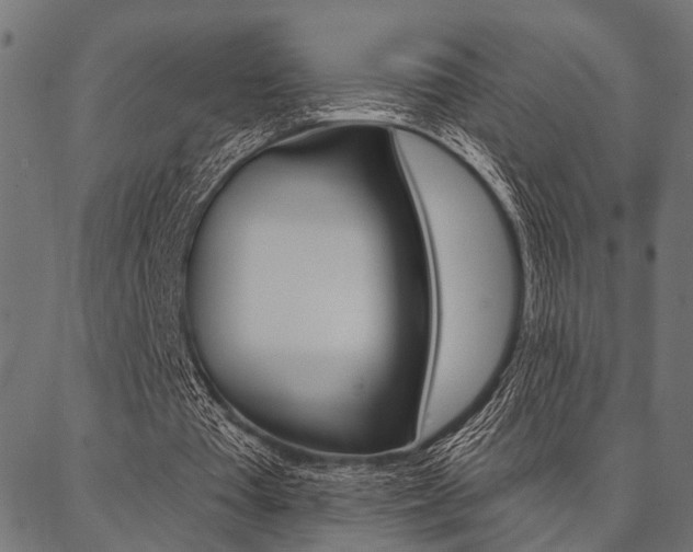 X0000087040385200704180942