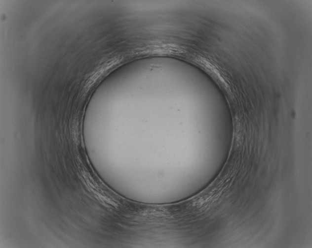 X0000087040386200704180942