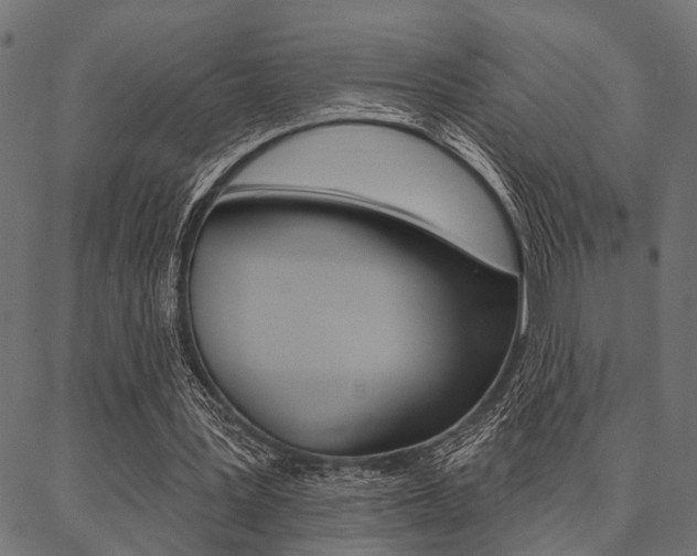 X0000087040387200704180942