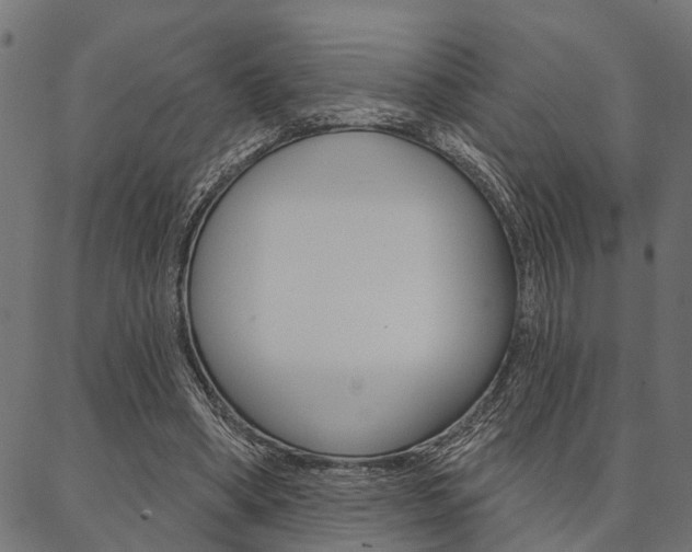 X0000087040394200704180942