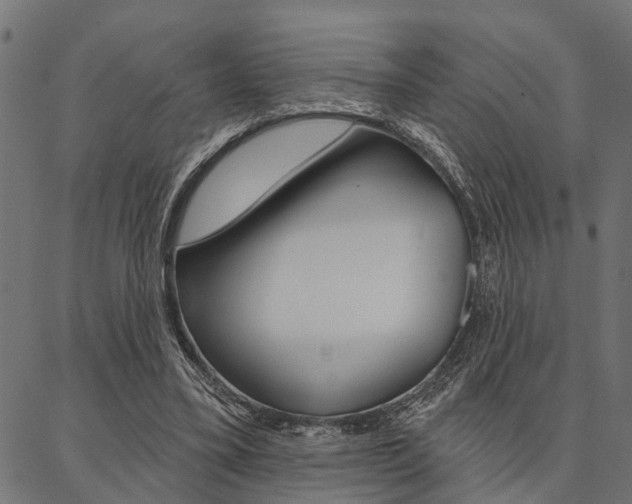 X0000087040395200704180942