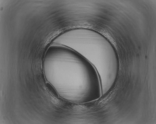 X0000087040397200704180942