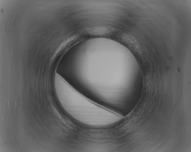 X0000087040400200704180942