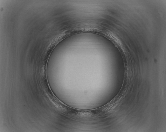 X0000087040401200704180942
