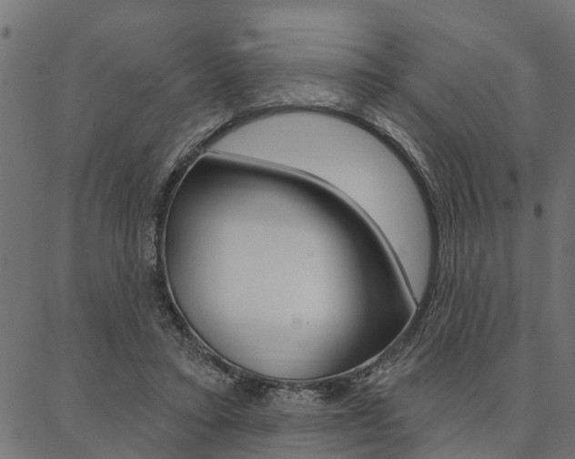 X0000087040403200704180942