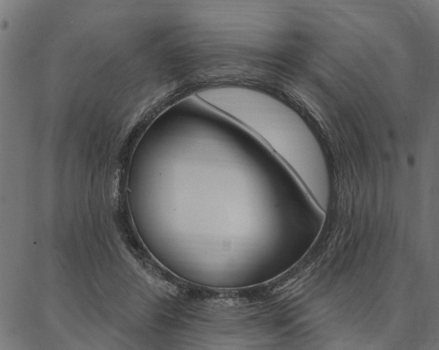 X0000087040404200704180942
