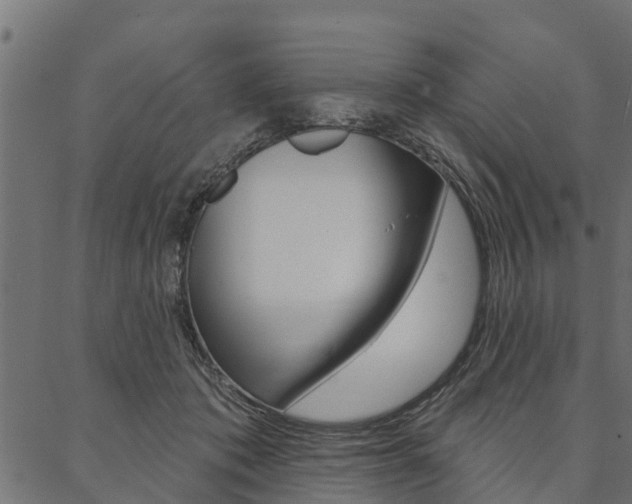 X0000087040413200704180942