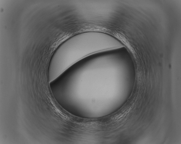 X0000087040433200704180941